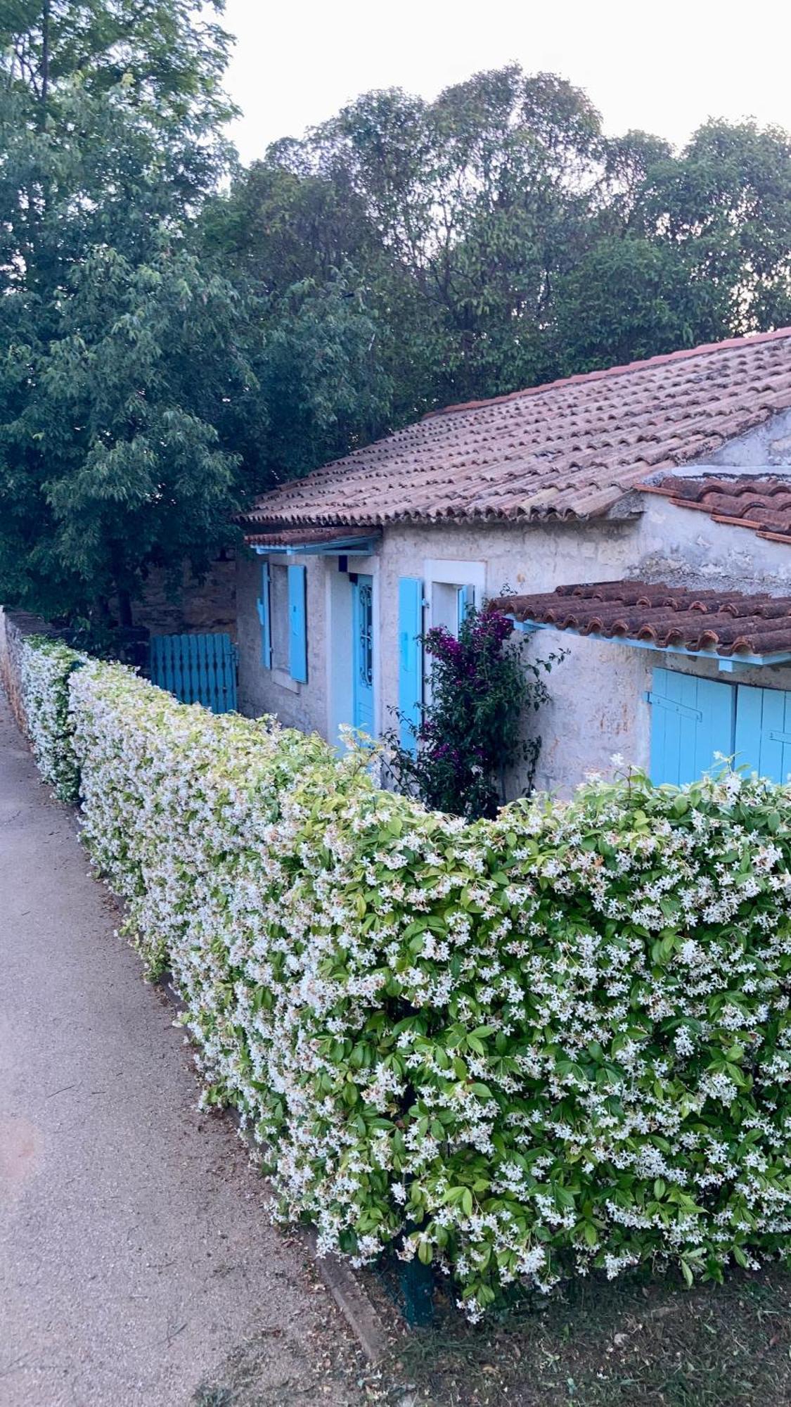 Vila Majda Tar-Vabriga 外观 照片